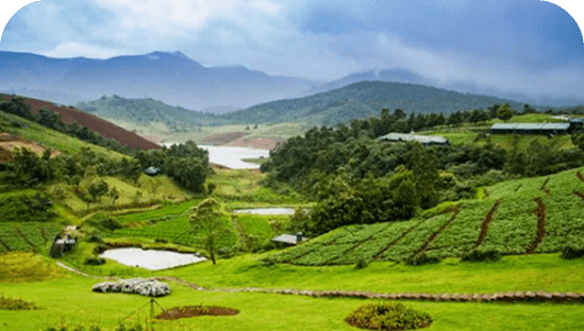 Tamil Nadu